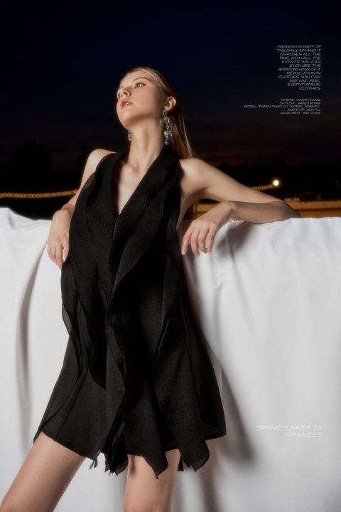 Đầm Voan Đen Hở Lưng Bèo Dọc